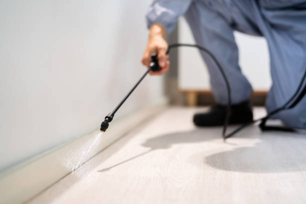 Certified termite inspector examining foundation in Fairchance