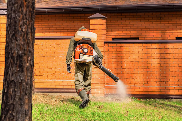 Top rated local Ant Control specialists in Fairchance, PA